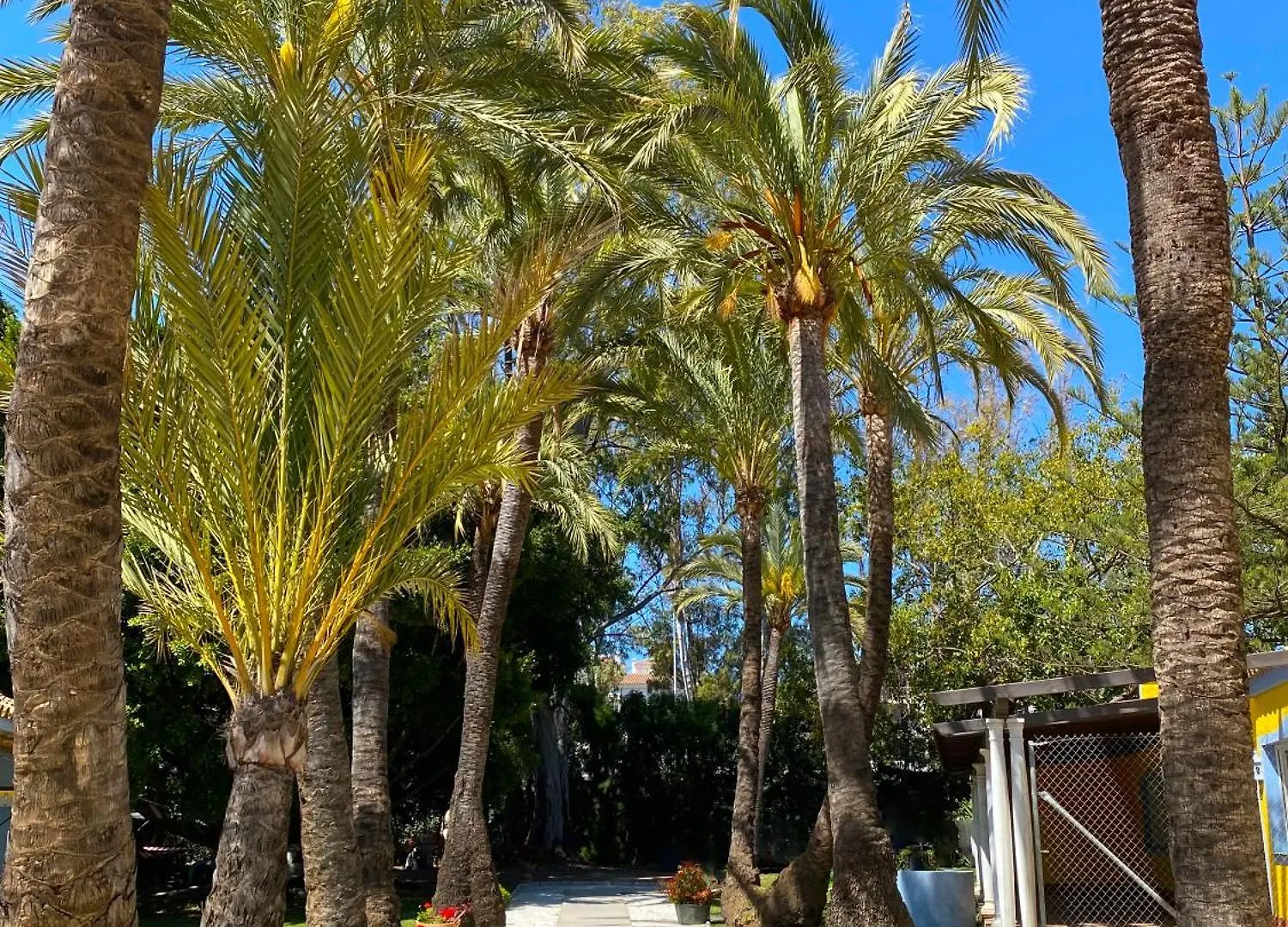 Cortijo La Saleta Banus Apartment Marbella